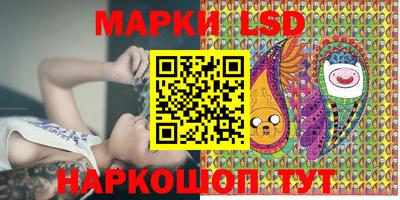 apvp Кингисепп