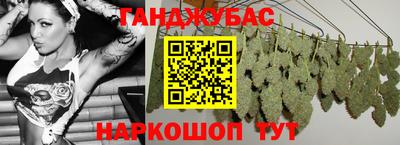apvp Кингисепп