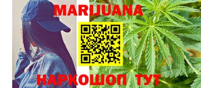 apvp Кингисепп