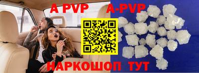 apvp Кингисепп