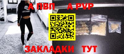 apvp Кингисепп
