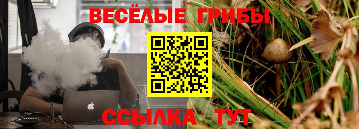 Псилоцибиновые грибы Cubensis Кинель