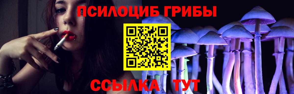 Псилоцибиновые грибы Psilocybe  Вход с VPN  Кинель 