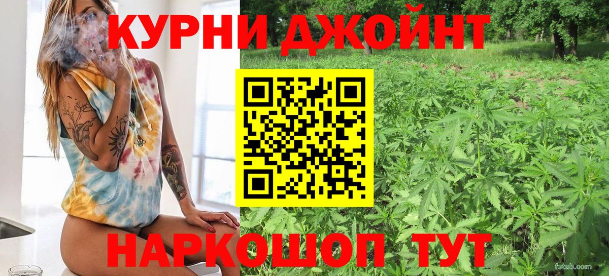 Кинель  МАРИХУАНА сатива  Каннабис Ganja  Вход с VPN  Каннабис Ganja  Бошки марихуана OG Kush 